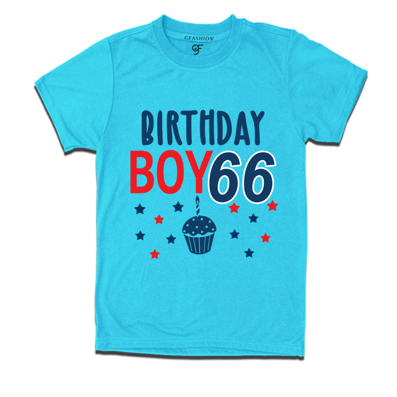 Birthday boy t shirts for 66th year