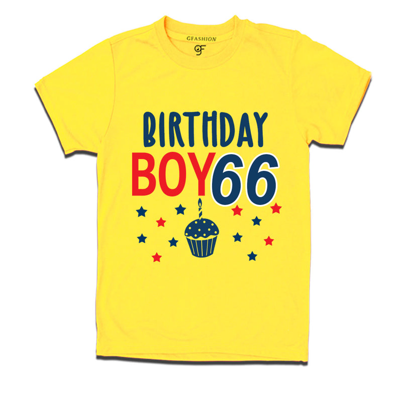 Birthday boy t shirts for 66th year