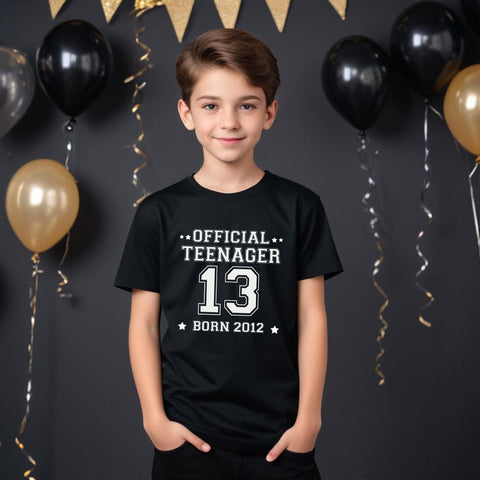 official teenager boys 13th birthday tshirts