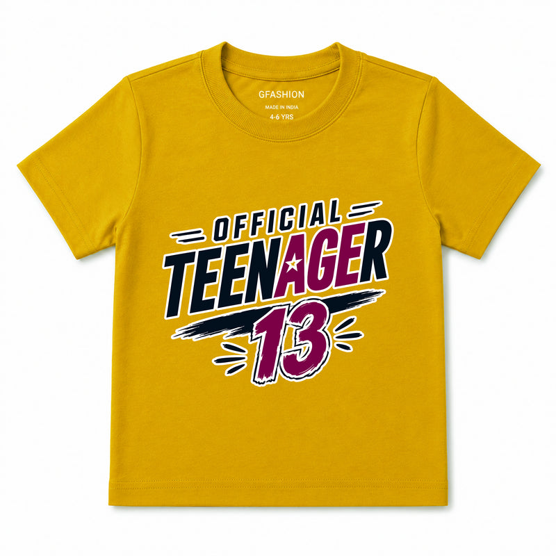 official teenager boys 13th birthday tshirts