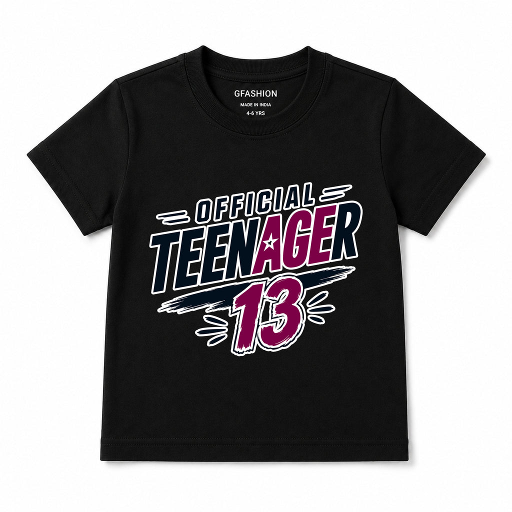 official teenager boys 13th birthday tshirts
