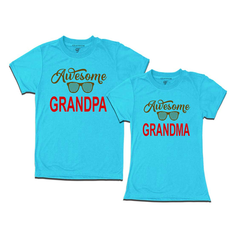 Awesome Grandpa-Grandma T-shirts-Sky Blue Color-gfashion