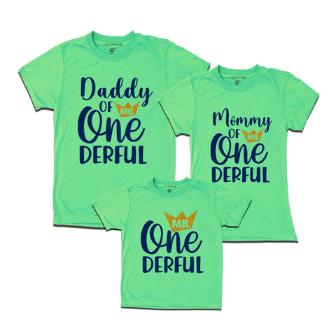 Mr Onederful Birthday T-shirts for Family in Pista Green Color avilable @ gfashion.jpg