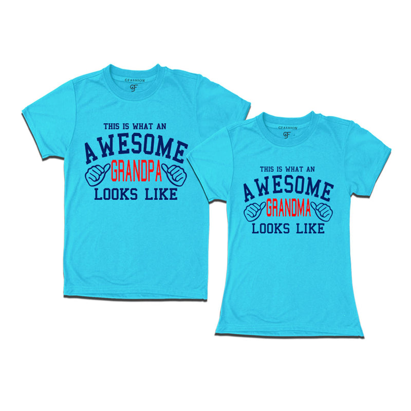 This is What An Awesome Grandpa Grandma Looks Like Printed T-shirts in Sky Blue Color available @ Gfashion.jpg