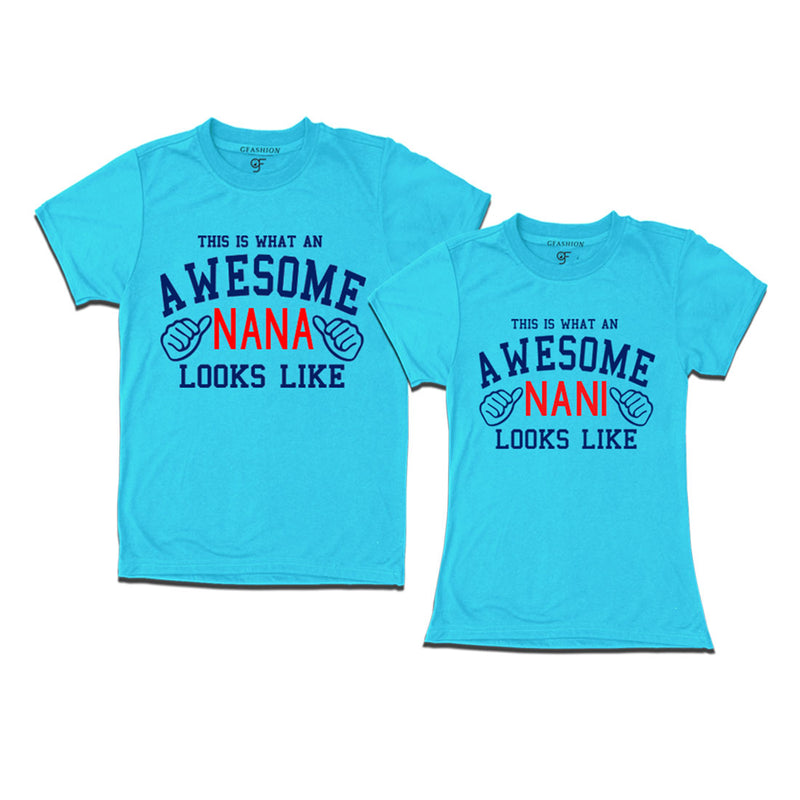 This is What An Awesome Nana Nani Looks Like Printed T-shirt in Sky Blue Color available @ Gfashion.jpg